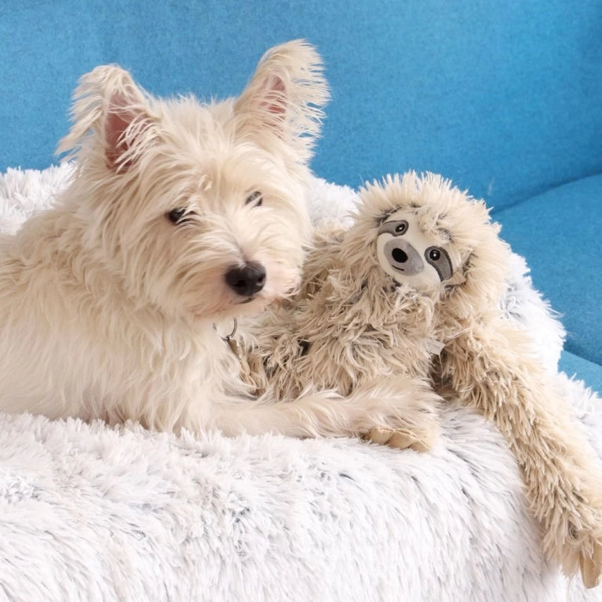 Sloth Rope Body Dog Toy