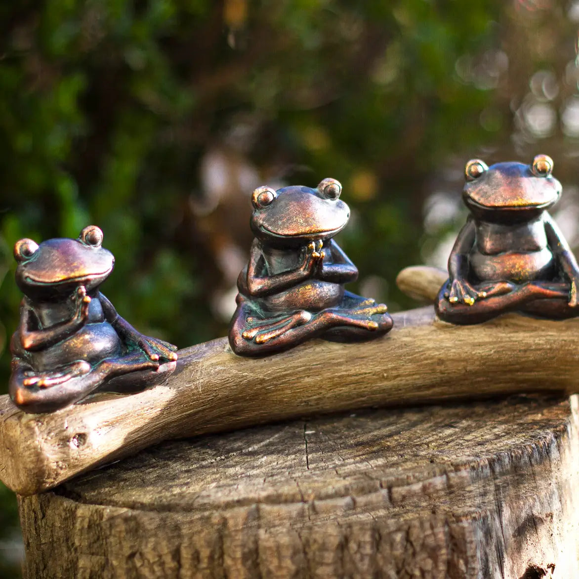 Meditation Frogs on Log
