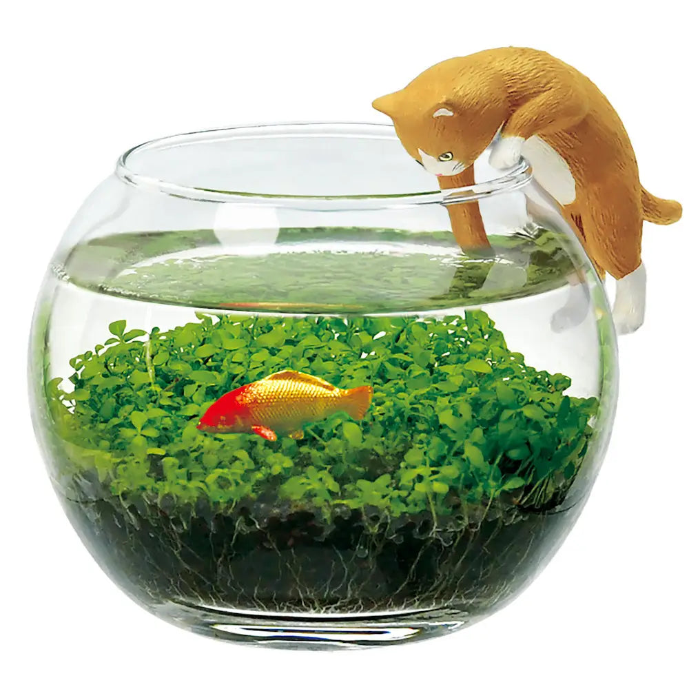 Water Garden With Brown Cat
