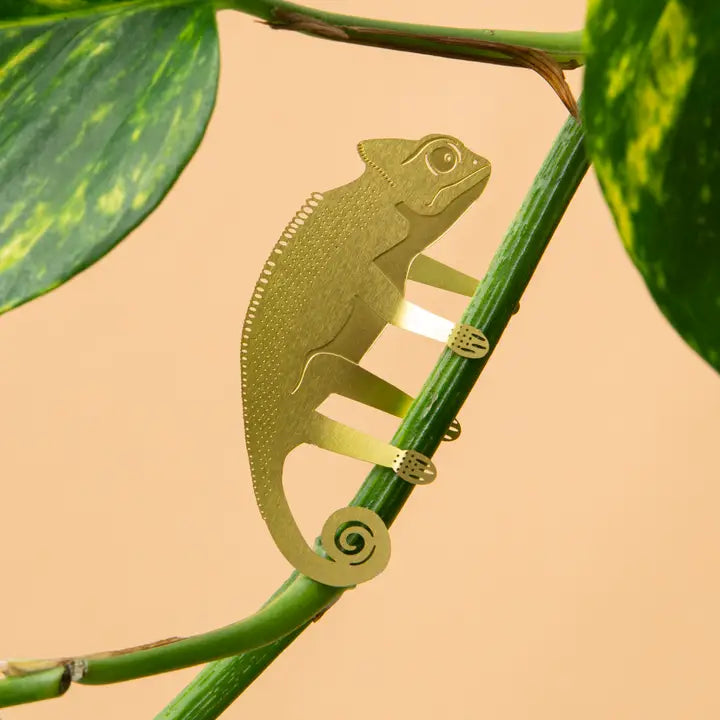 Plant Decoration - Chameleon