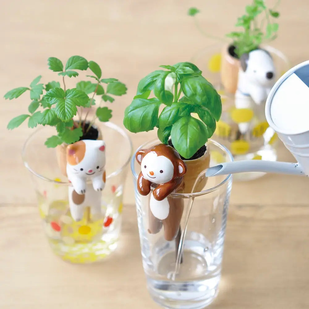 Shippon Self Watering Animal Tail Grow Kit