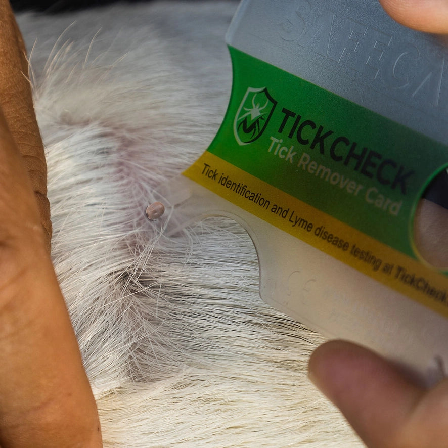Tick Remover Card