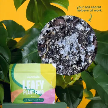 Leafy Plant Good Complete General Nutrition & Mycorrhizae