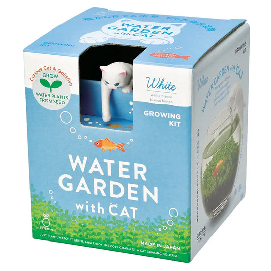 Water Garden With White Cat