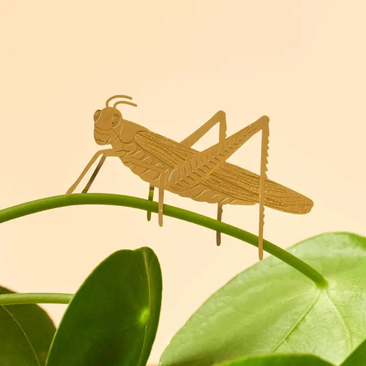 Plant Decoration - Grasshopper