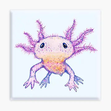 Axolotl Magnet