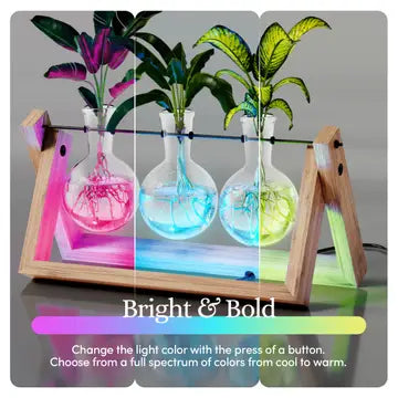 Light Up Bamboo Air Planter