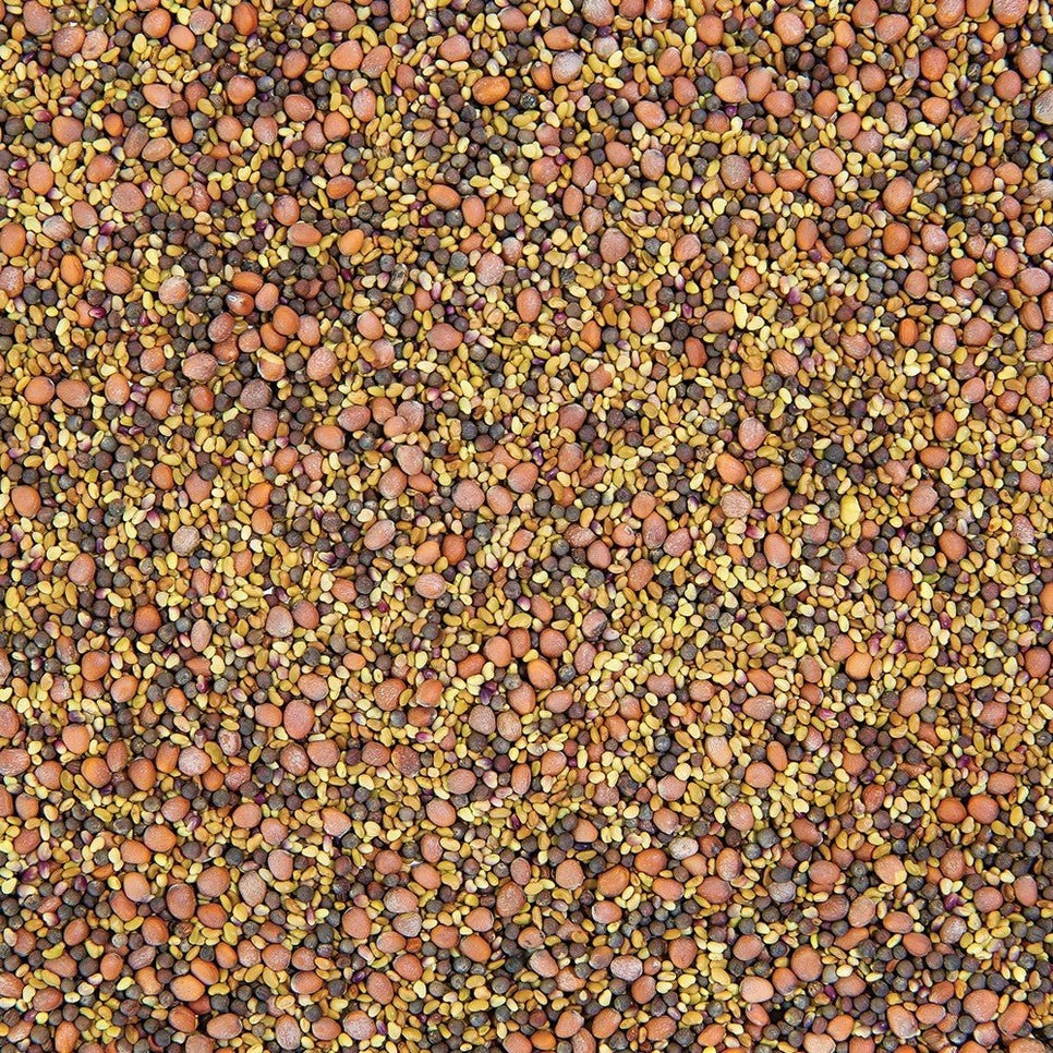 Organic Salad Mix Sprouting Seeds 3oz
