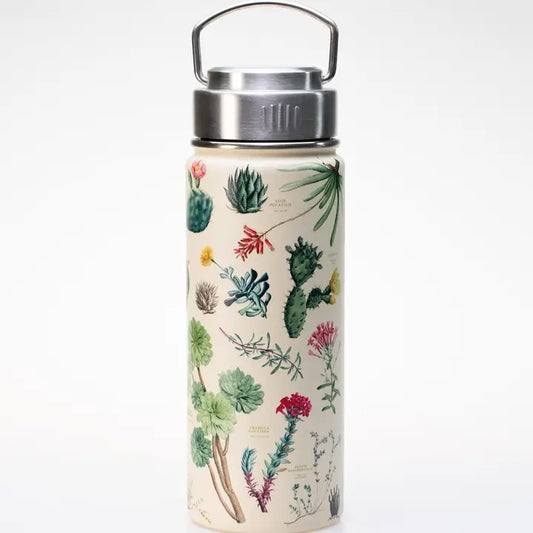 Succulents Stainless Steel Vacuum Flask 18oz