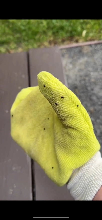 Tick Mitt Remover