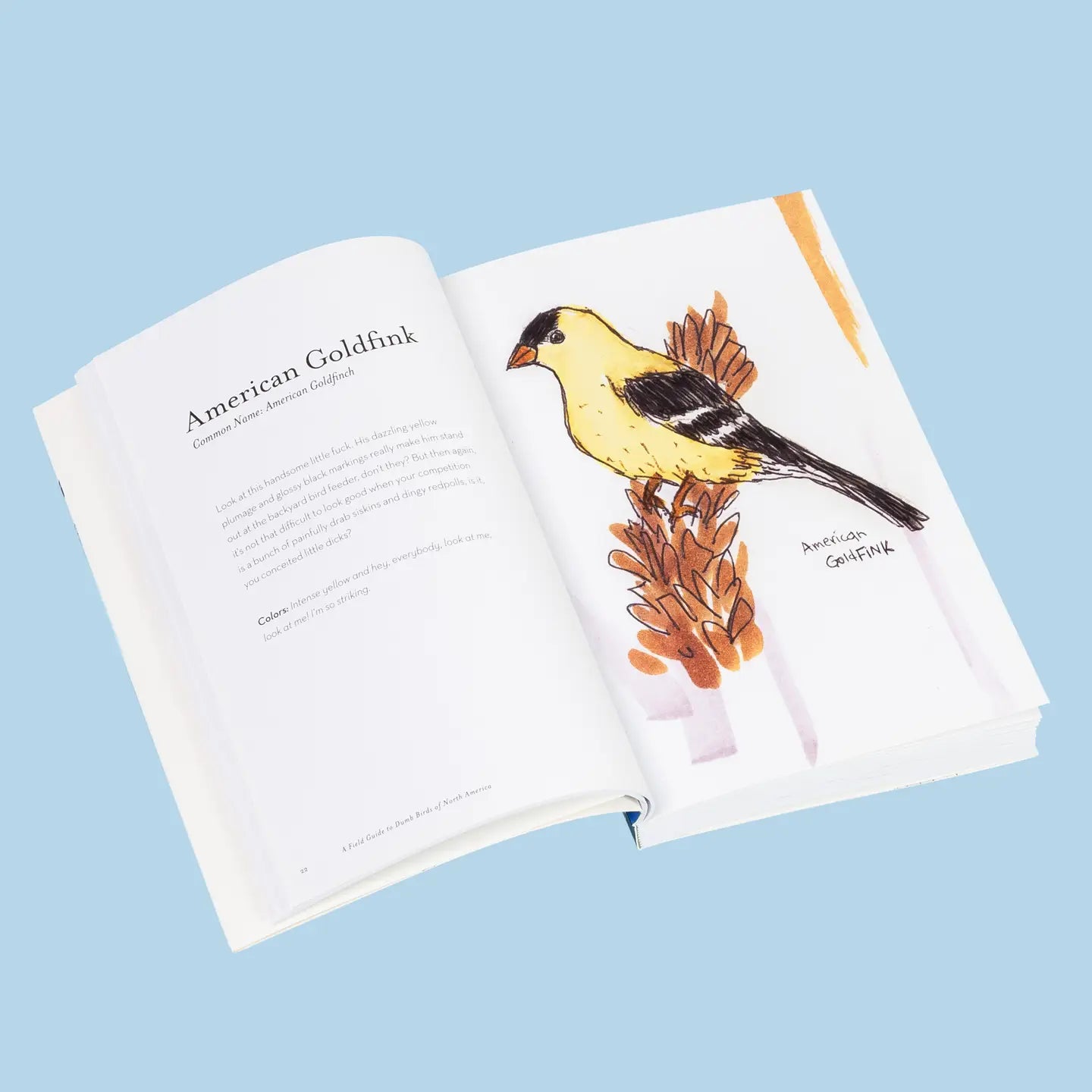 The Field Guide to Dumb Birds Book