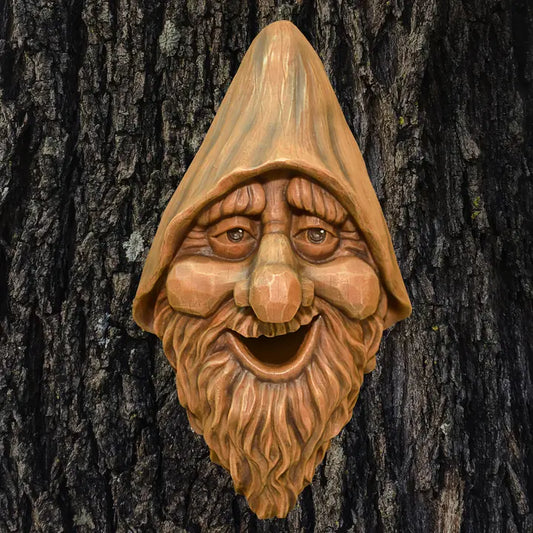 Outdoor Tree Face Birdhouse "Harry"