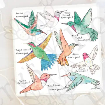 Hummingbird Kinds Stone Coaster