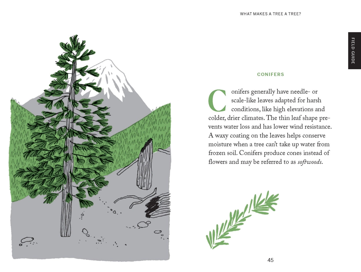 Tree Hugging Book