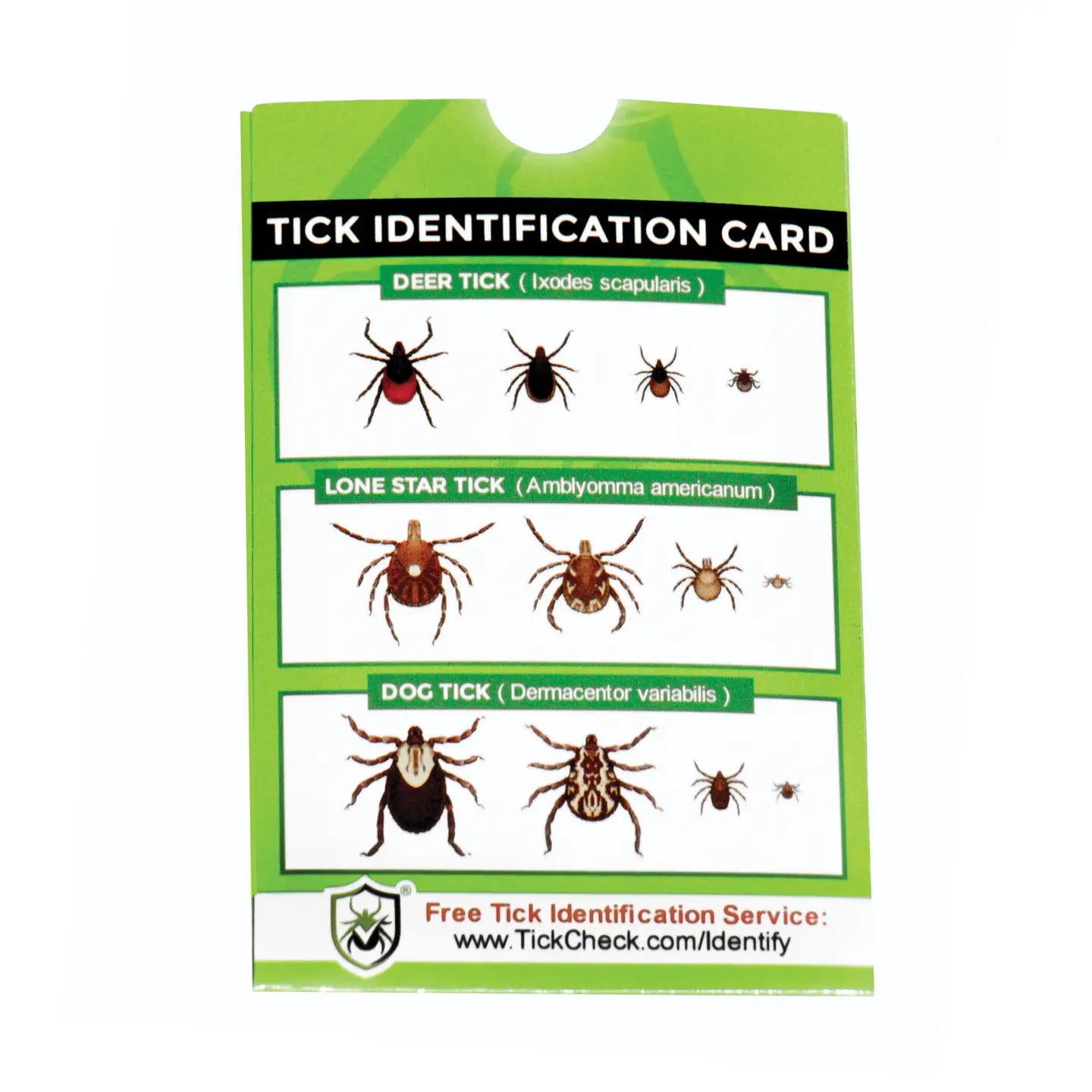 Tick Remover Card