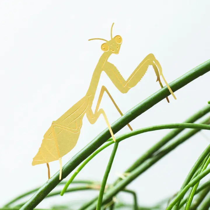 Plant Decoration Praying Mantis