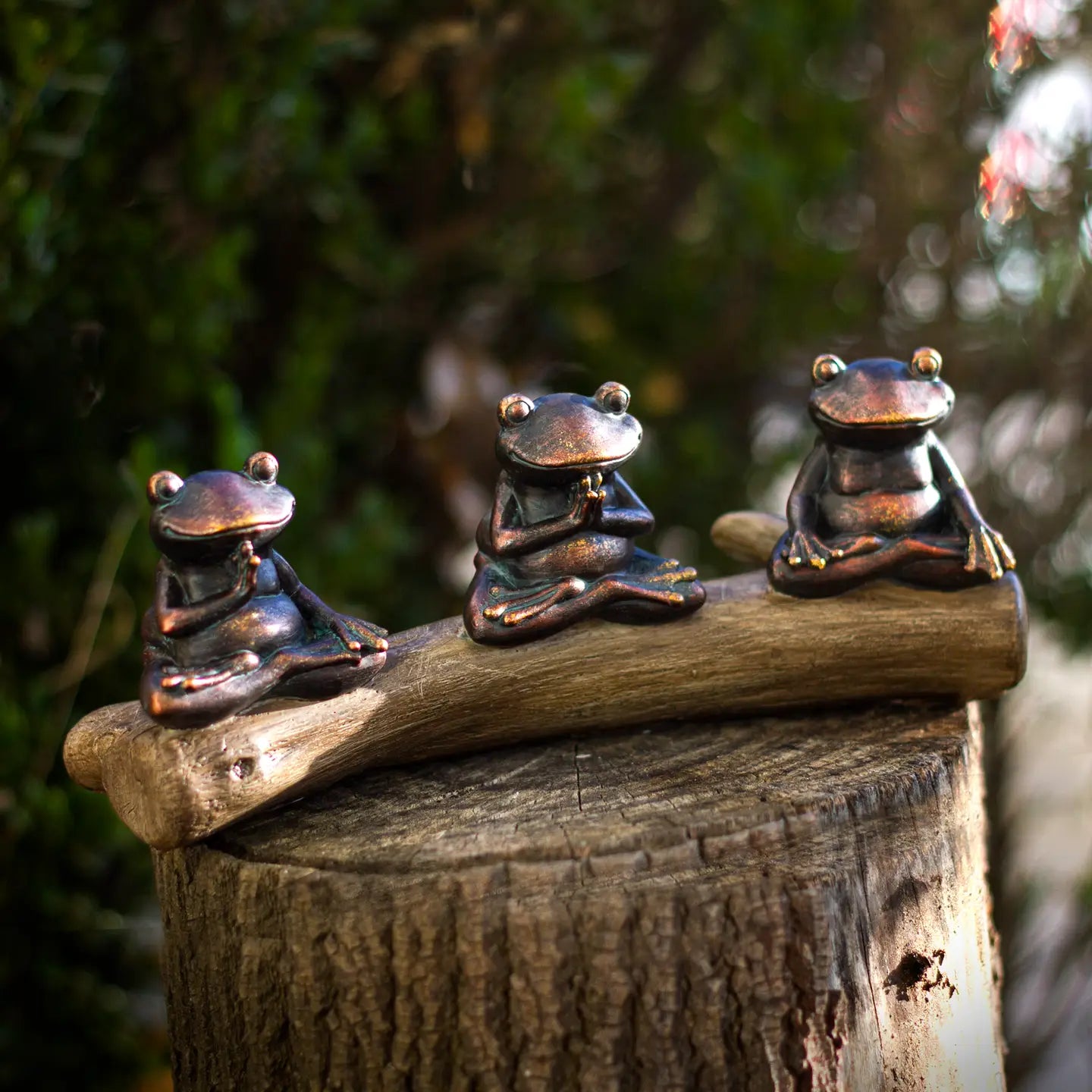 Meditation Frogs on Log