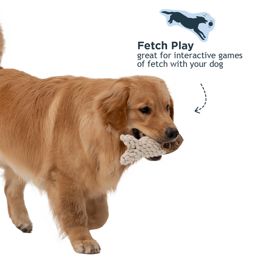 Leather + Rope Crunch Fish Dog Toy