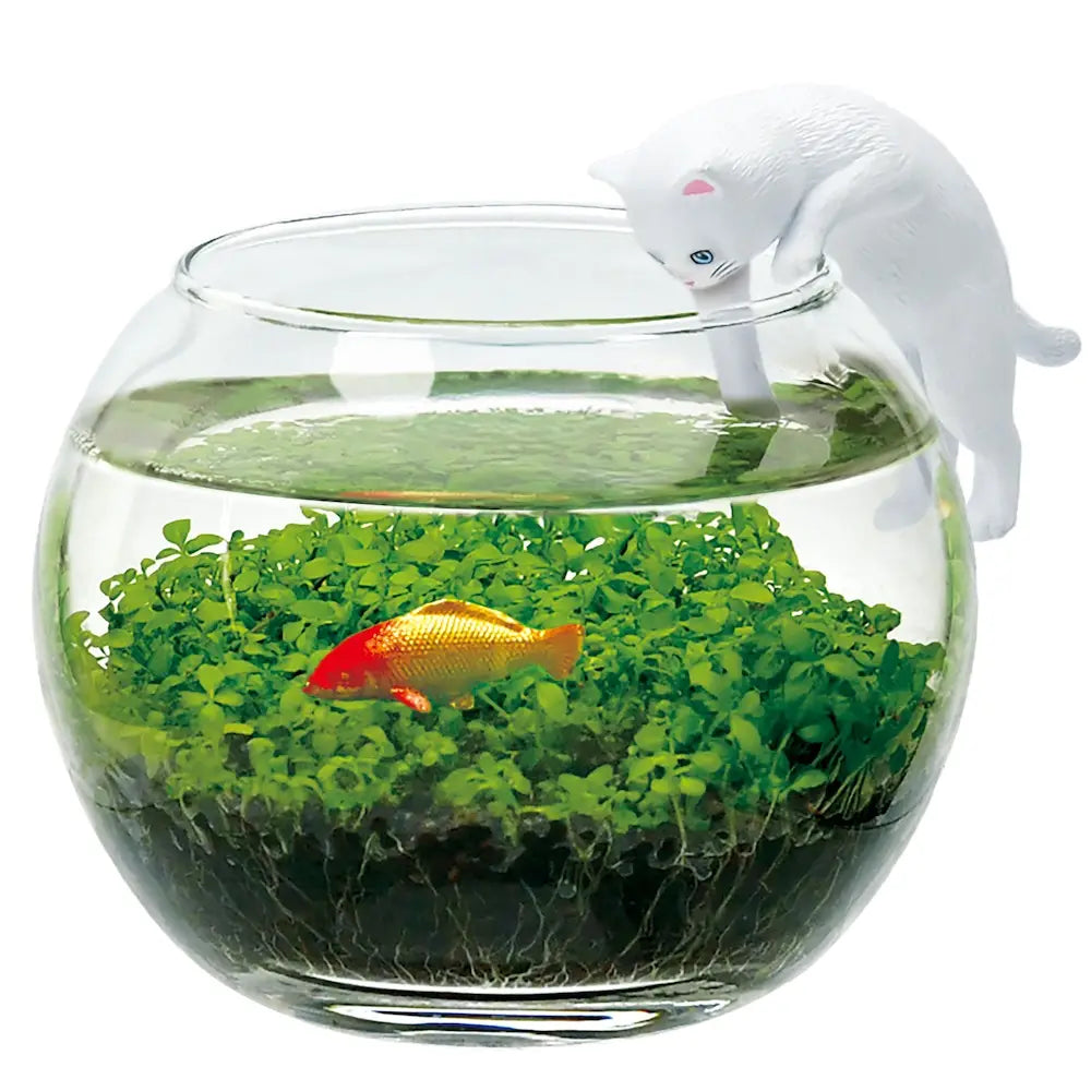 Water Garden With White Cat