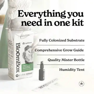 Mushroom Grow Kit Lions Mane