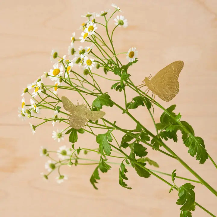 Plant Decoration Butterfly