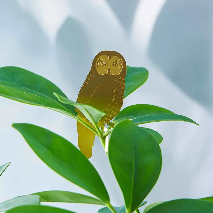 Plant Decoration - Owl