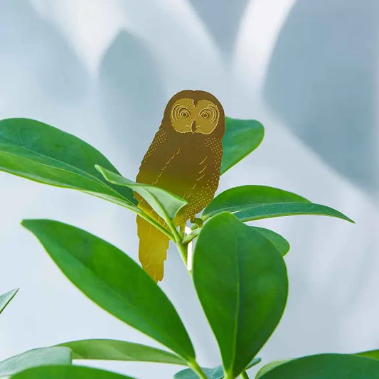 Plant Decoration - Owl