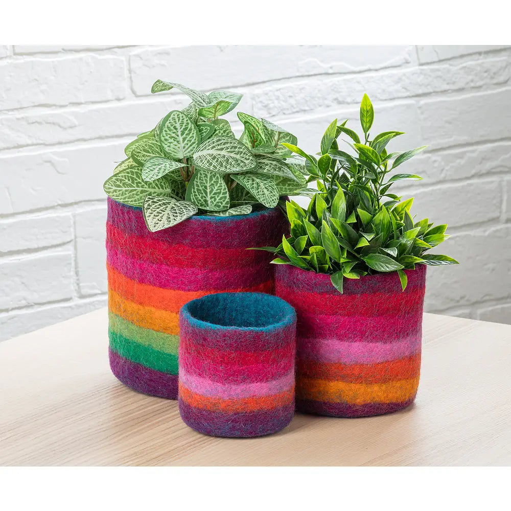 Rainbow Stripe Felt Pot