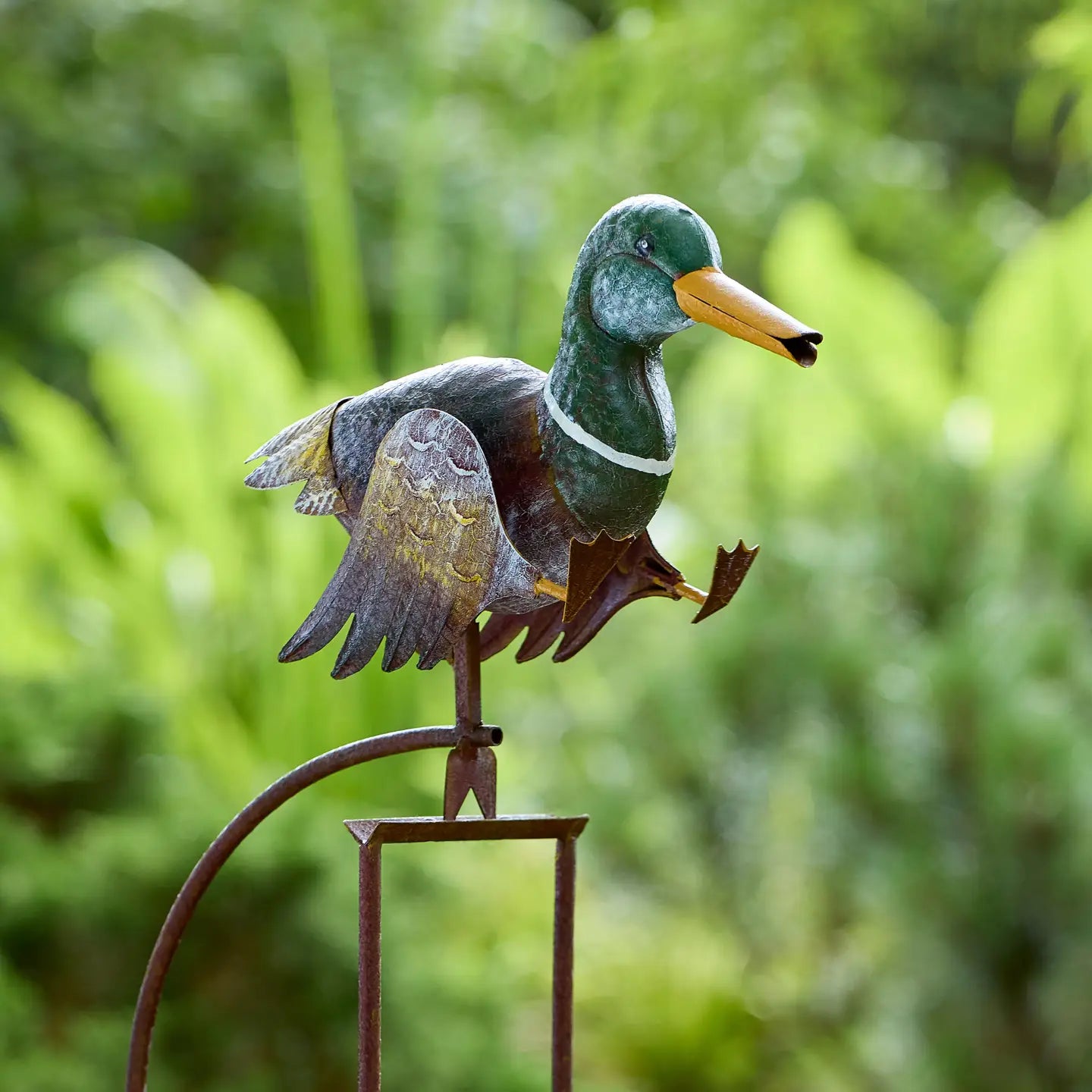 Walking Duck Balance Rocker