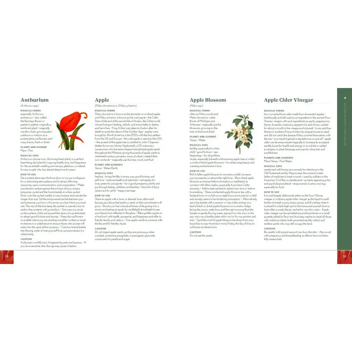 1001 Magical Plants: Complete Botanicals for Every Purpose
