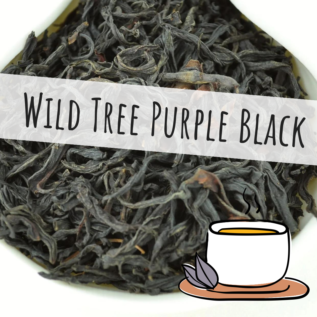 Wild Tree Purple Black Loose Leaf Tea