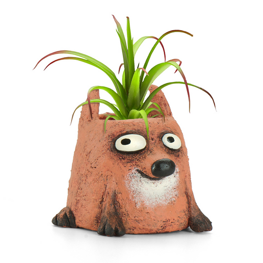 Dexter Fox Planter