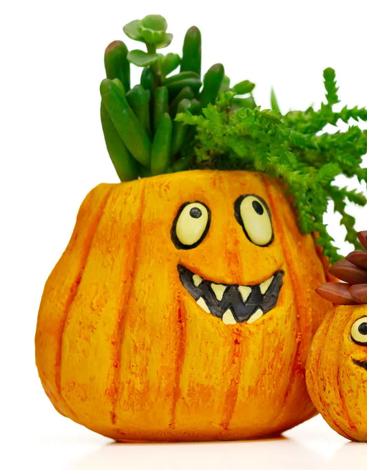 Jack Pumpkin Planter