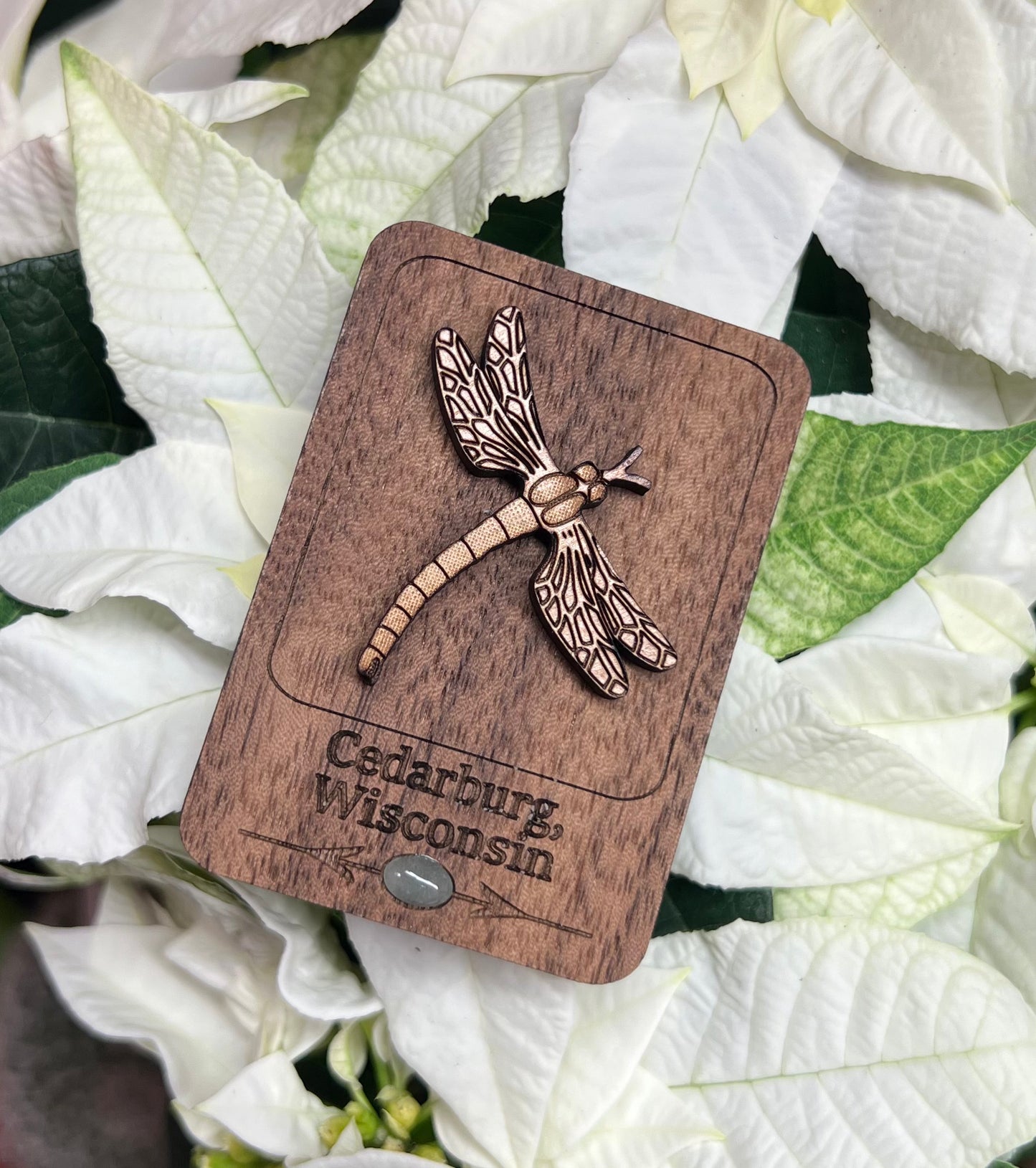Dragonfly Wood  Magnet
