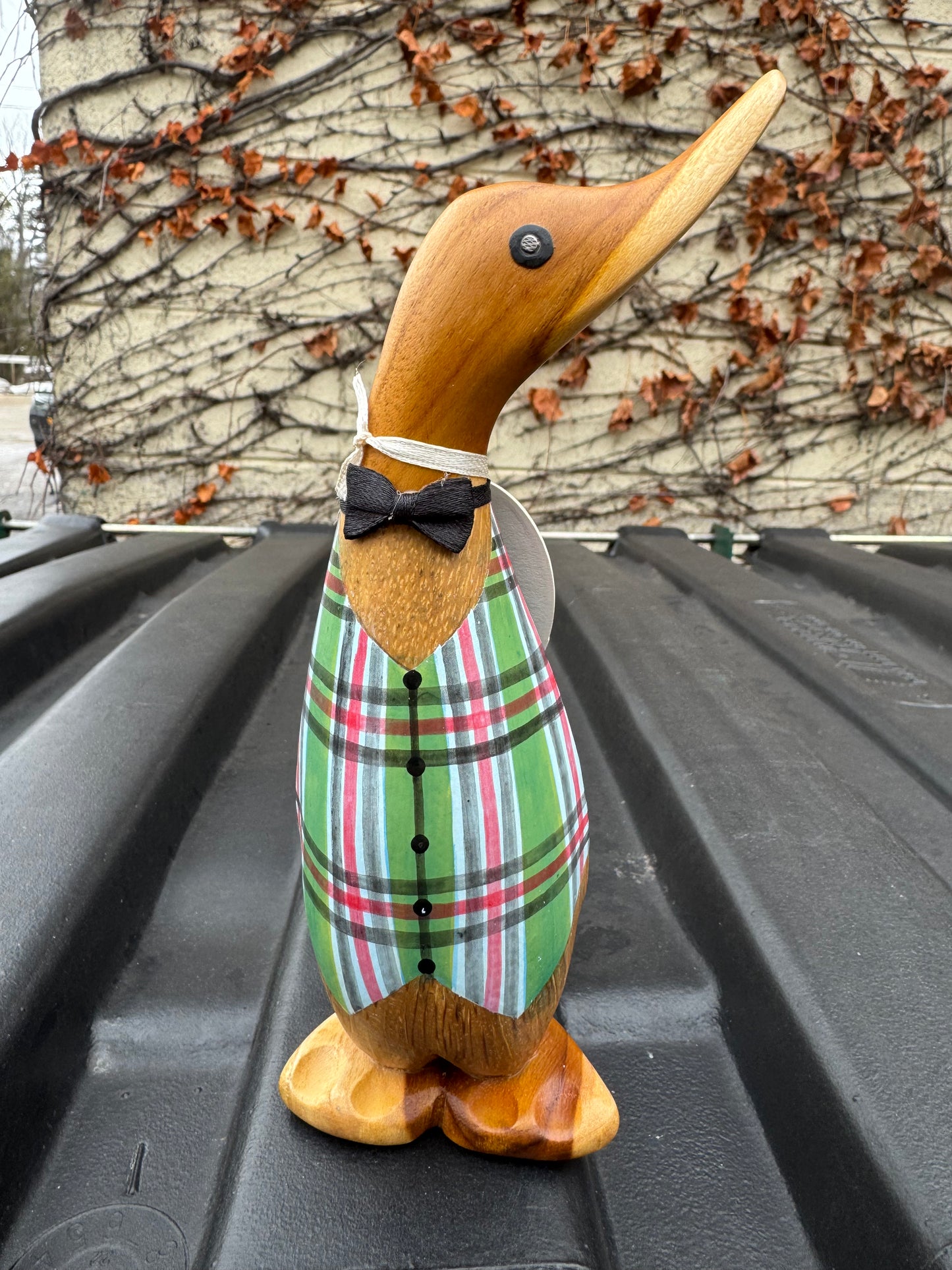 Tartan Waistcoat Duckling