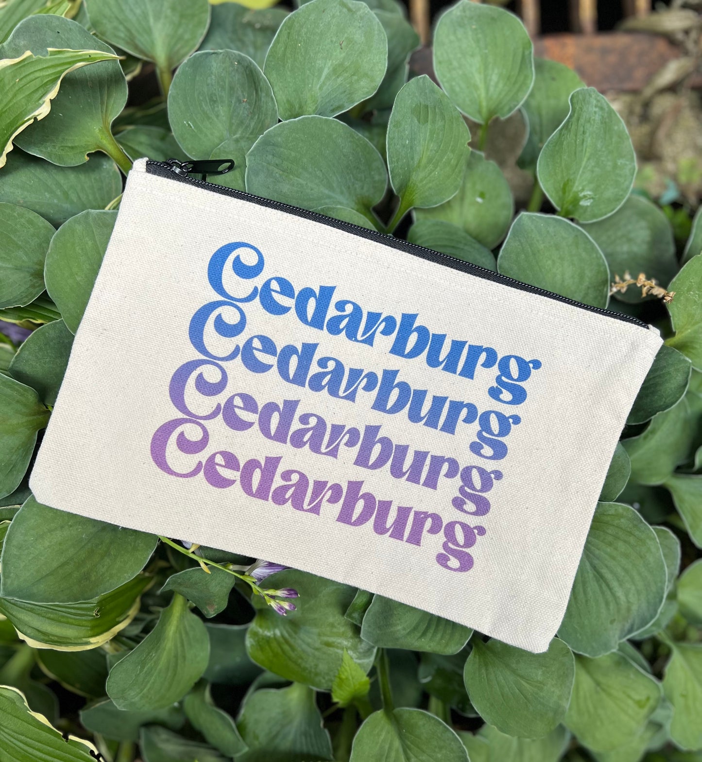 Cedarburg Ombre Canvas Zipper Pouch