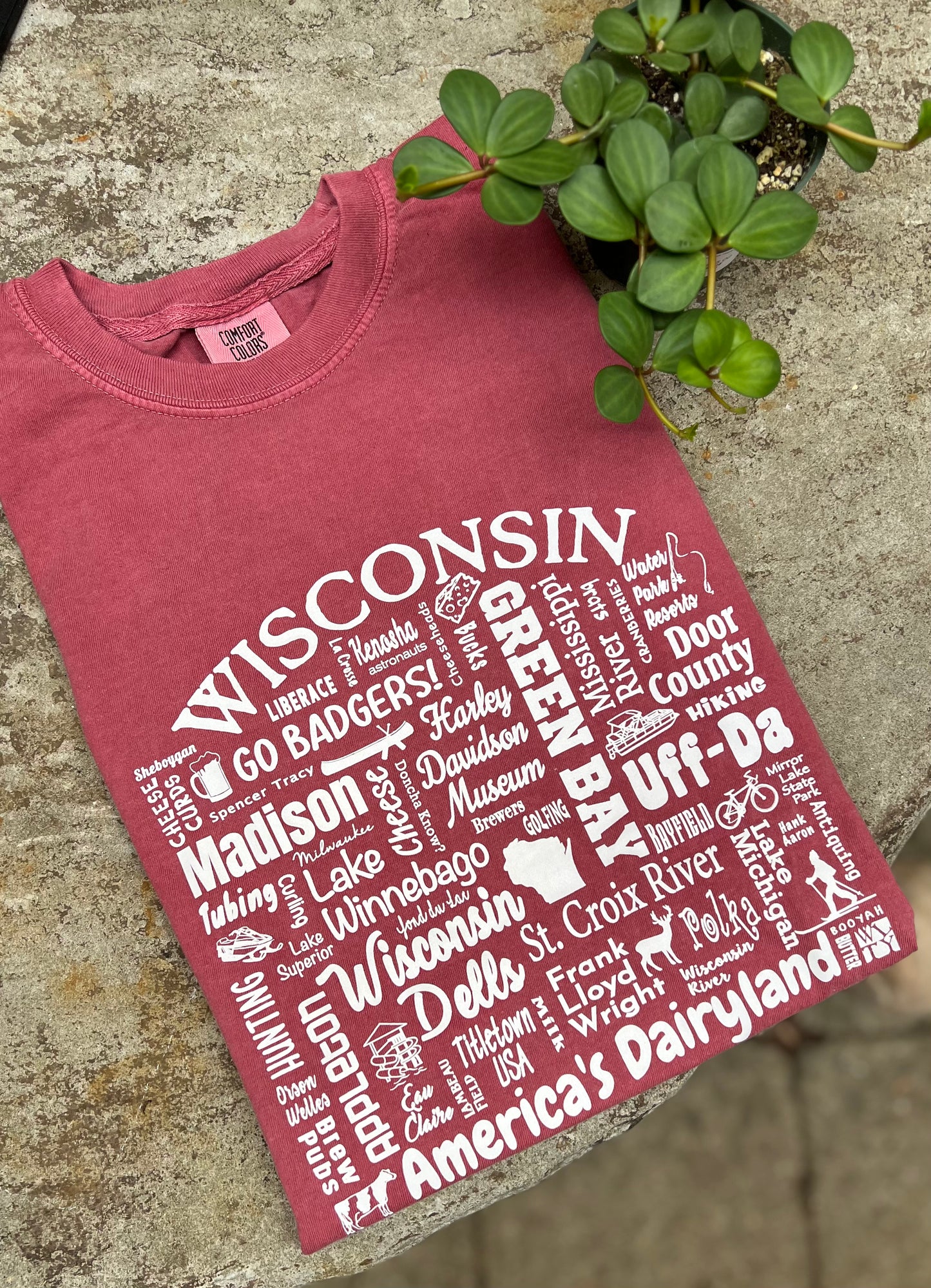Wisconsin Words T-Shirt