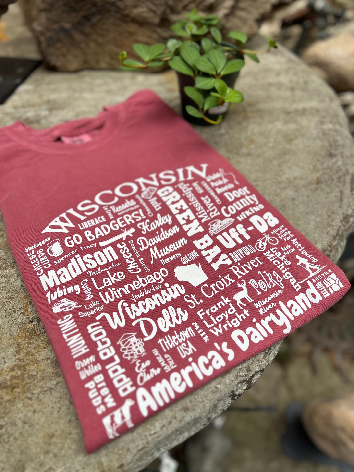 Wisconsin Words T-Shirt