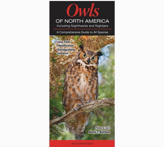 Owls of North America Guide