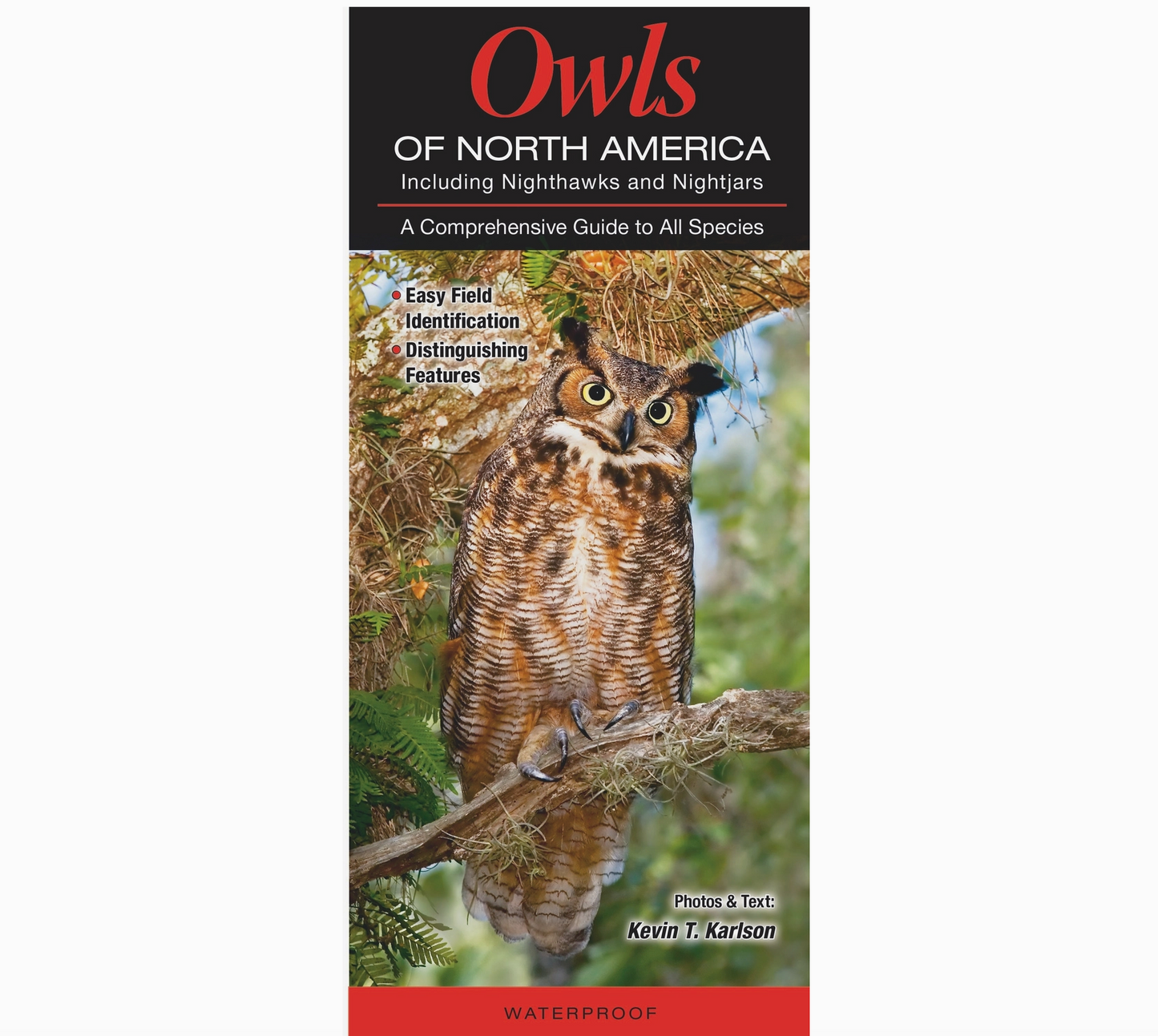 Owls of North America Guide