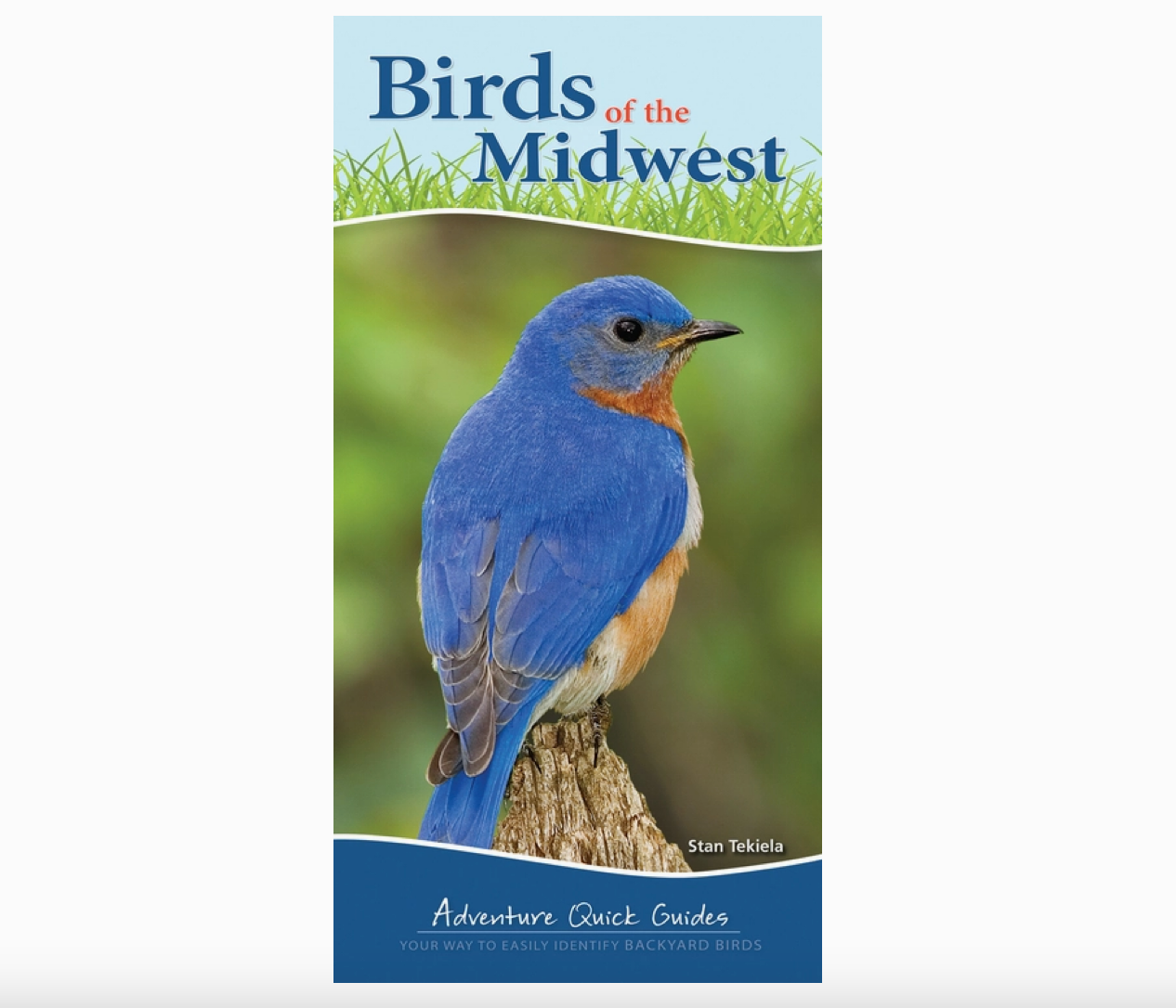 Birds of the Midwest Quick Guide