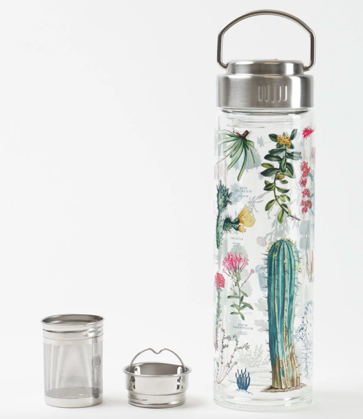 Succulents Glass Tea Infuser Flask