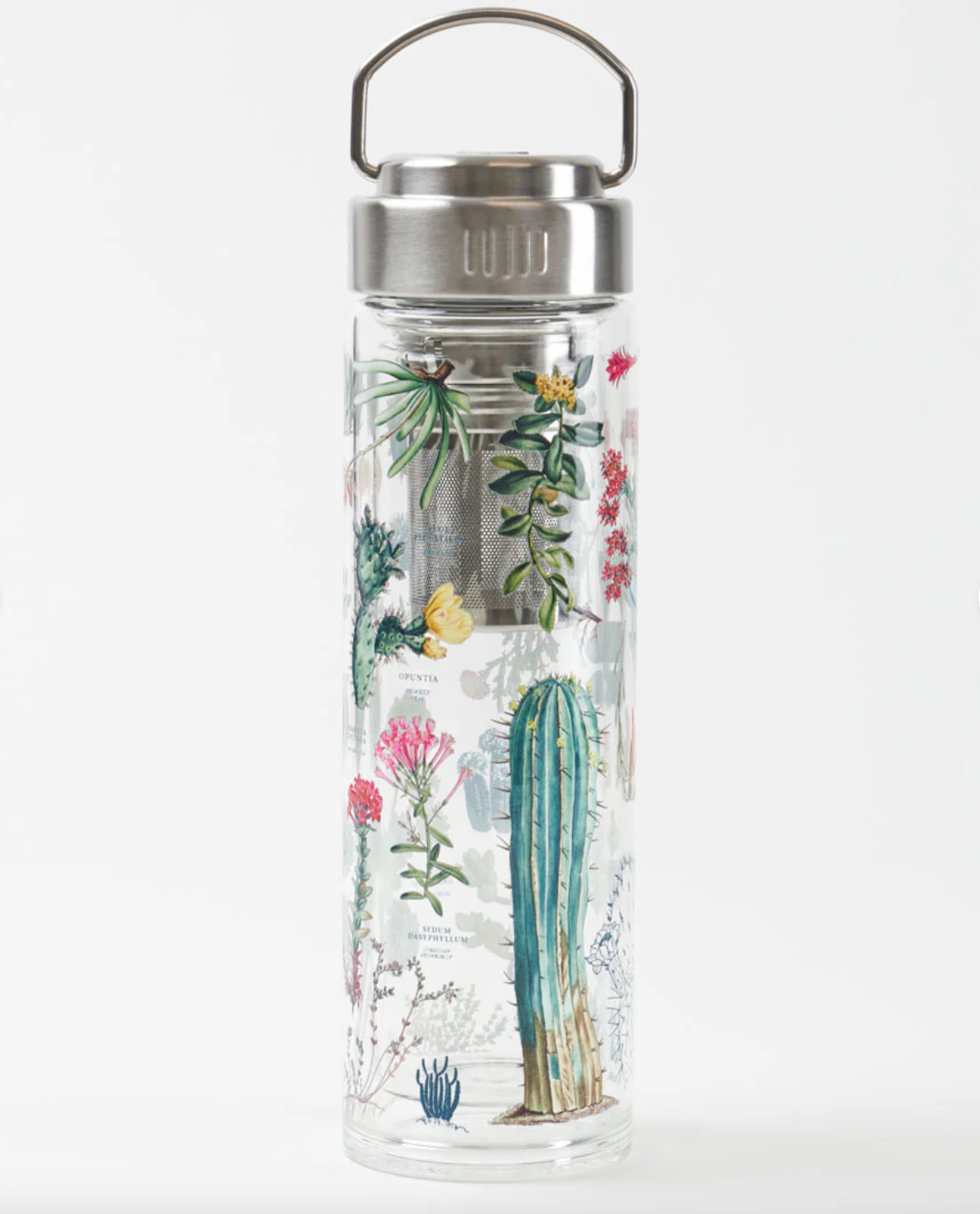 Succulents Glass Tea Infuser Flask