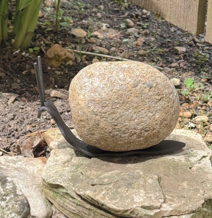 Small Rock Snail