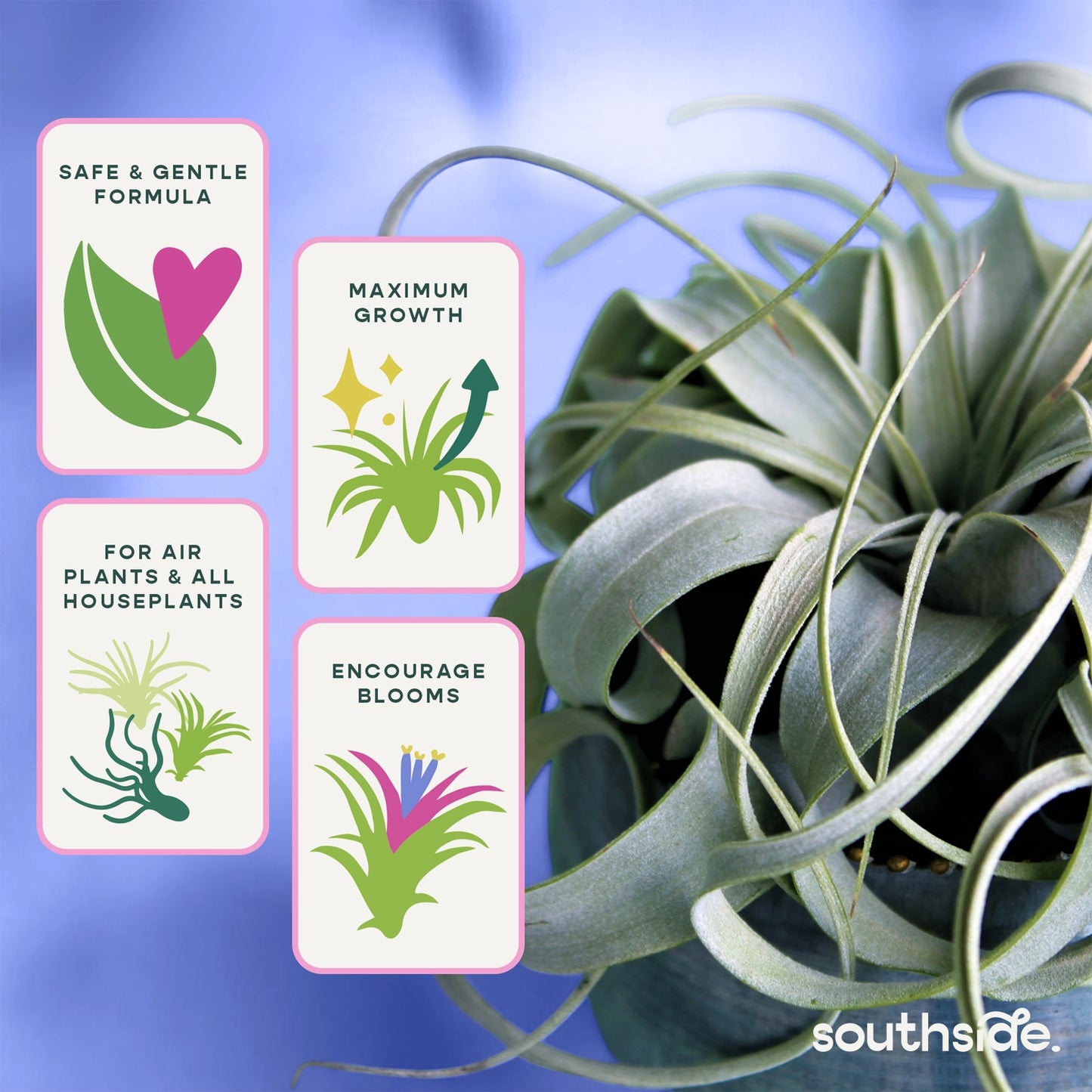 Air Plant Fertilizer Spray and Soak Concentrate 1 oz