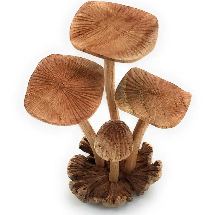 Hand Carved Wooden Mushrooms-Medium