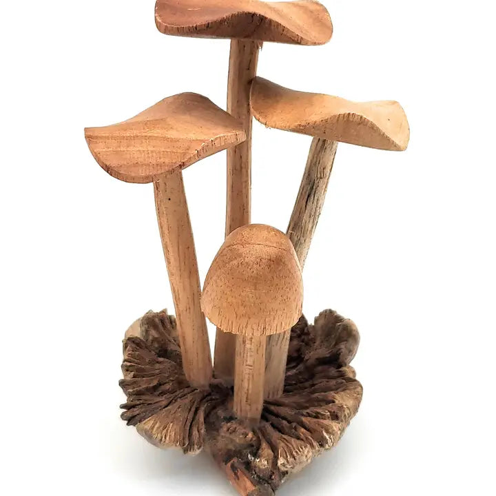 Hand Carved Wooden Mushrooms-Small