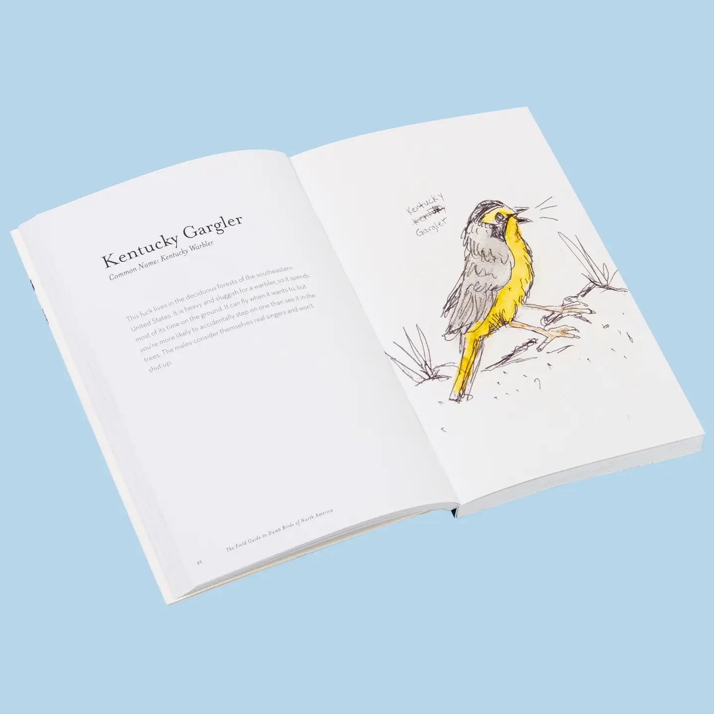 The Field Guide to Dumb Birds Book