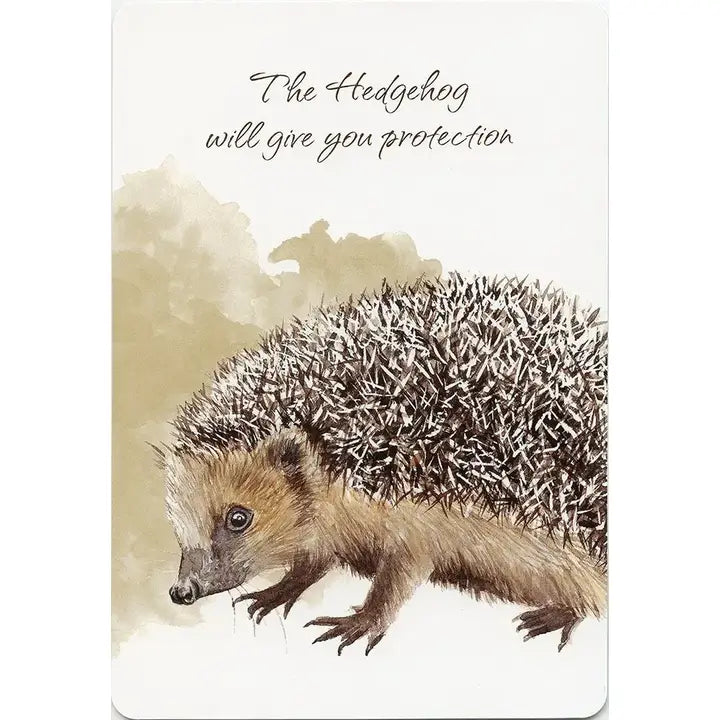 Power Animals Cards
