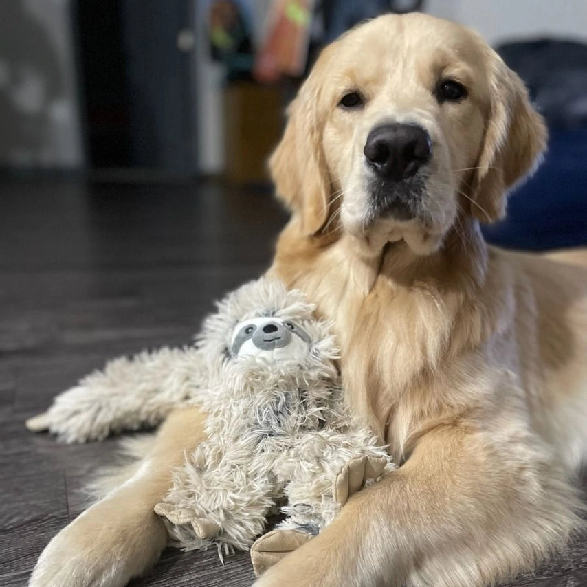 Sloth Rope Body Dog Toy